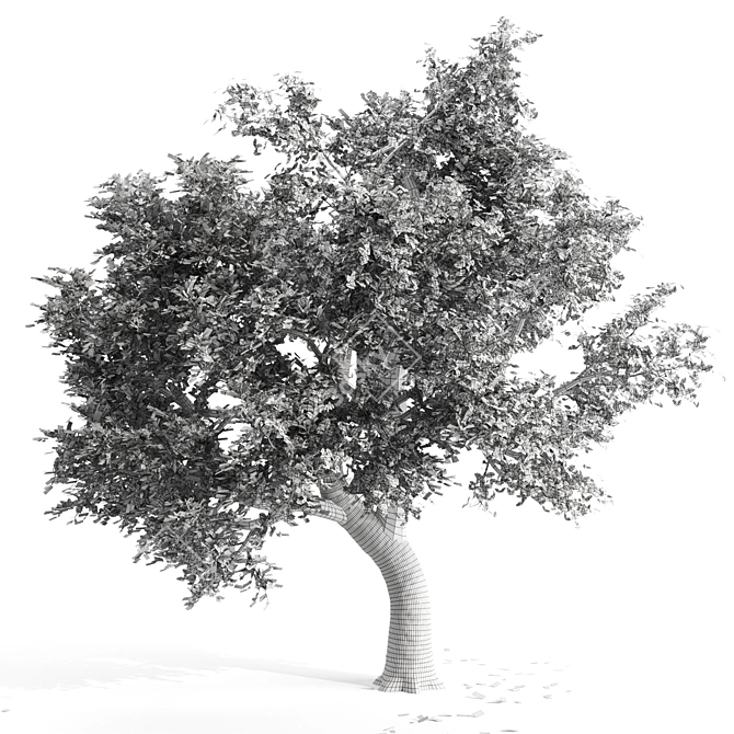 Spring Breeze Amur Cork Tree 3D model image 3