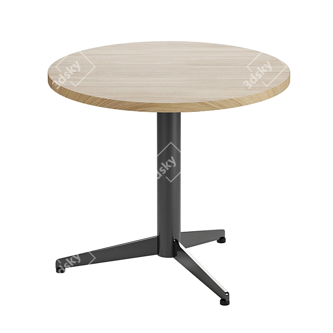 Sits Bird Coffee Table 3D model image 1