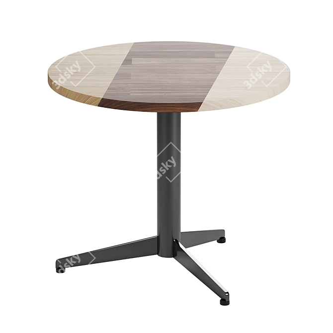 Sits Bird Coffee Table 3D model image 2