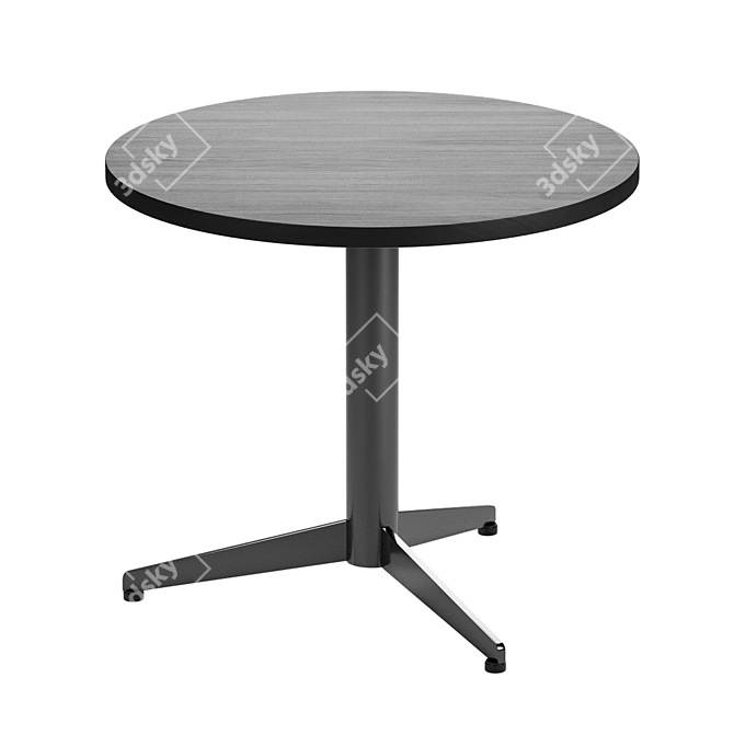 Sits Bird Coffee Table 3D model image 4