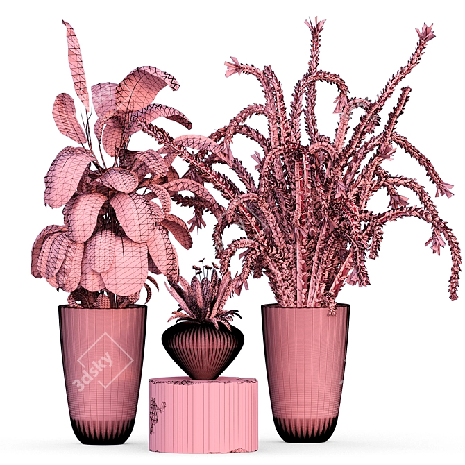 Tropical Houseplant Collection 3D model image 4