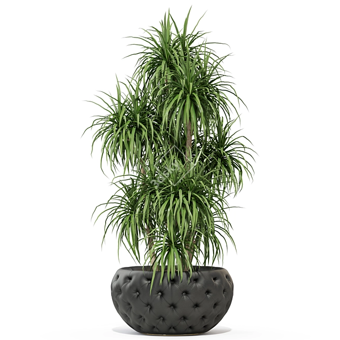 Club 274: Fleurami Plant Collection 3D model image 2