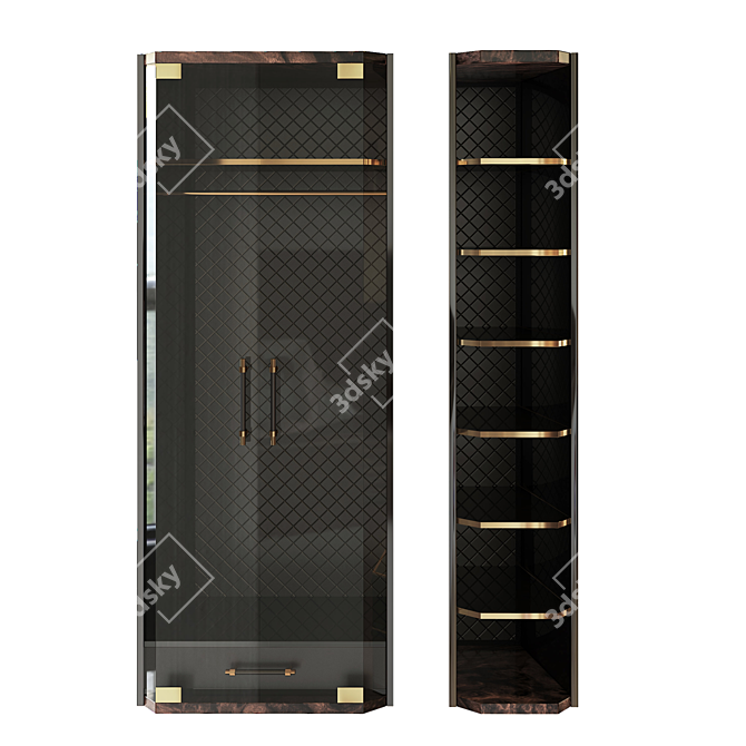 Contemporary Brass and Wood Closet 3D model image 5