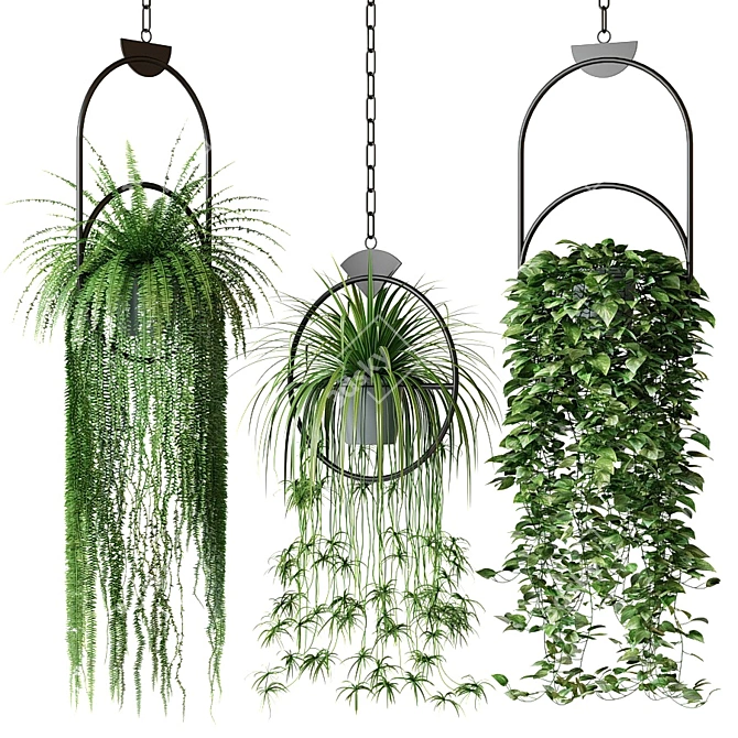 Hanging Plants Decor Set 3D model image 1