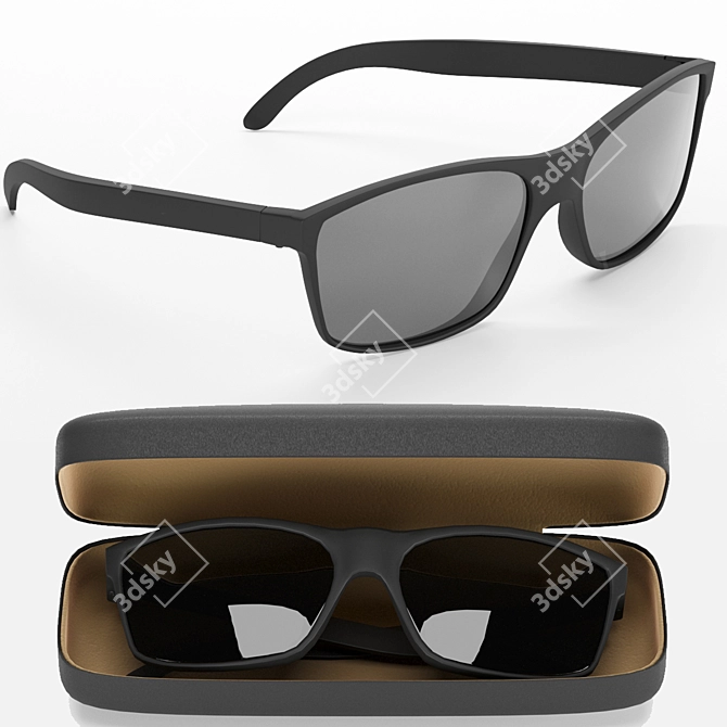 Elegant Sunnies with Case 3D model image 1