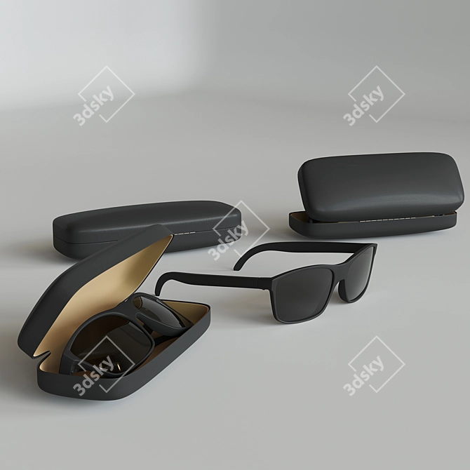 Elegant Sunnies with Case 3D model image 2