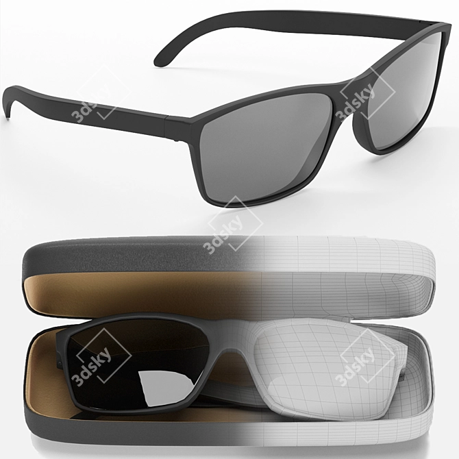 Elegant Sunnies with Case 3D model image 3