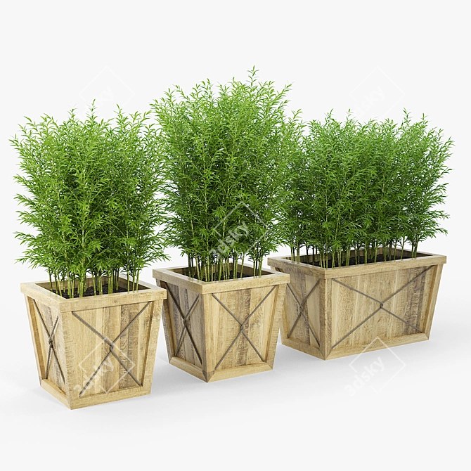 Eco-friendly Bamboo Storage Box 3D model image 3