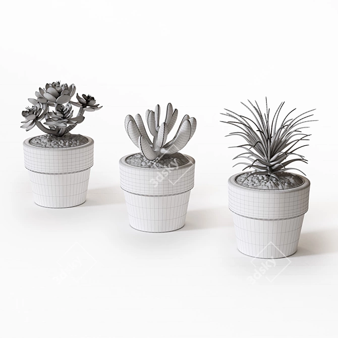 Naturalistic Artificial Succulents 3D model image 3