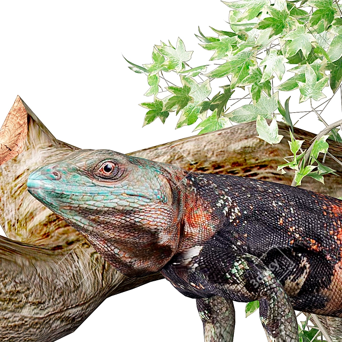 Exotic Iguana: Unique Mexican Lizard 3D model image 4