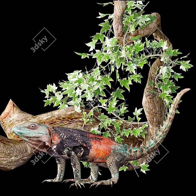 Exotic Iguana: Unique Mexican Lizard 3D model image 1