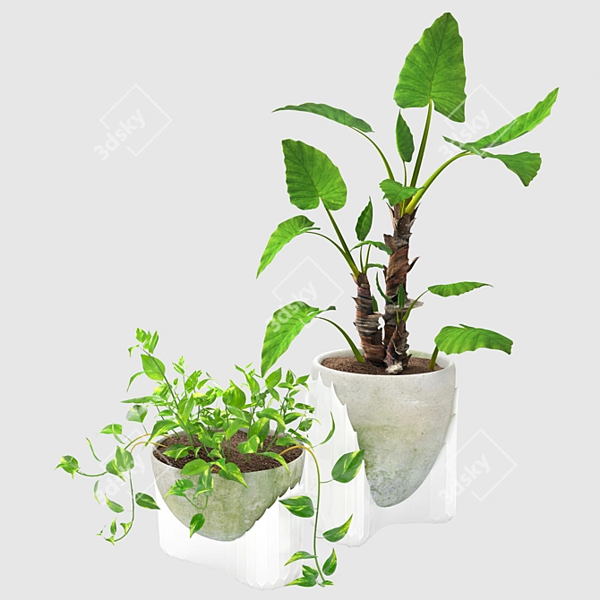 Tropical Botanical Duo: Epipremnum Alocasia 3D model image 1