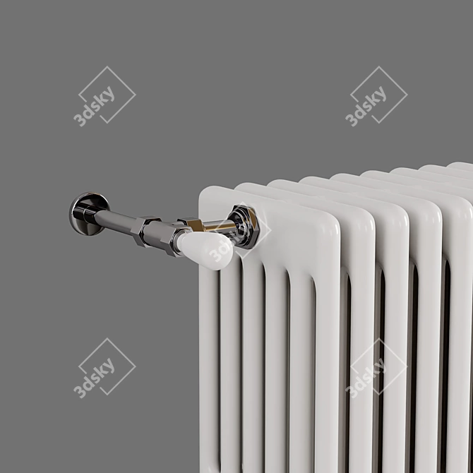 Customizable Cordivari Radiator with TurboSmooth 3D model image 2