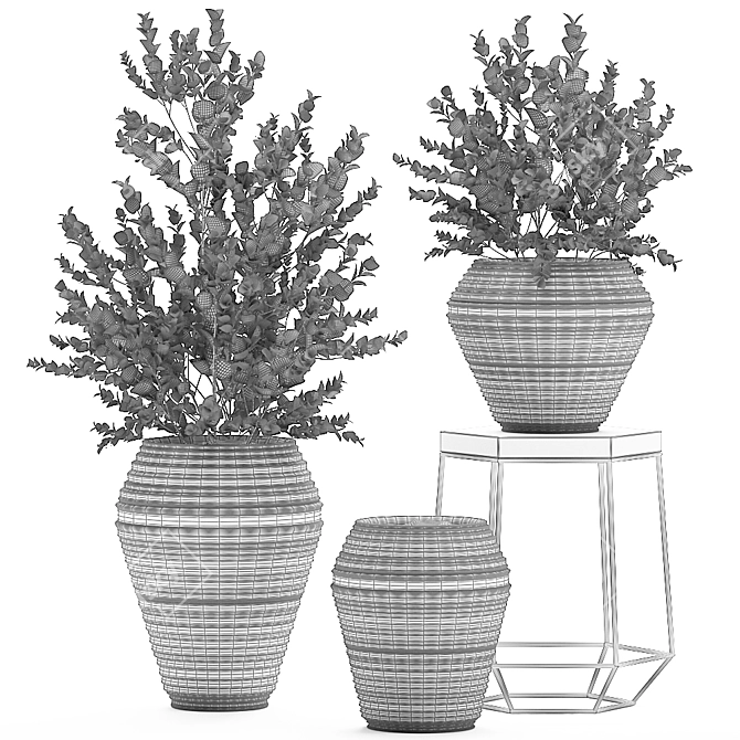 Exotic Indoor Plant Collection: Eucalyptus Cinerea & More 3D model image 5