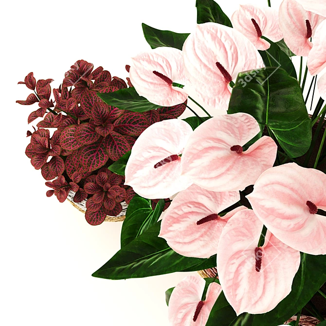 Tropical Elegance: Anthurium and Fittonia 3D model image 1