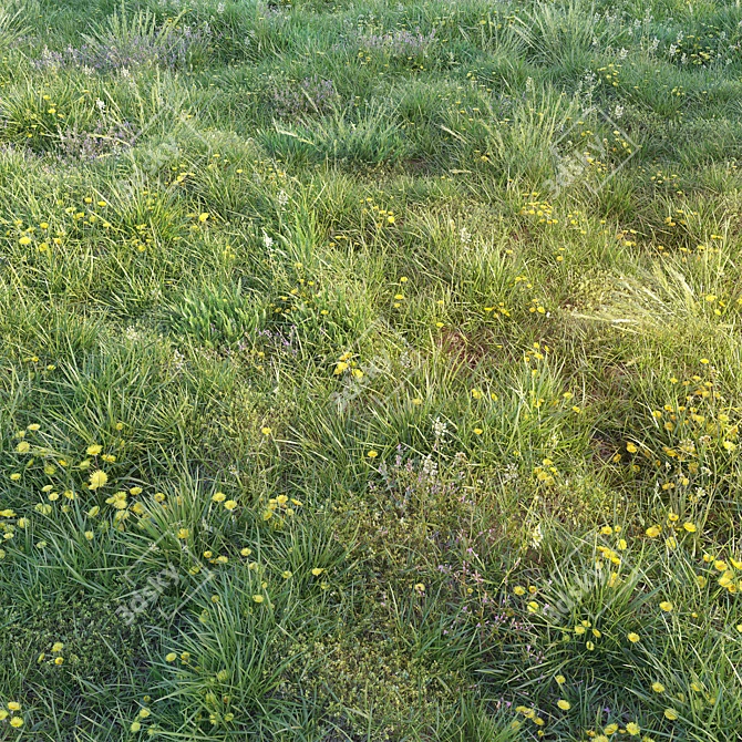 Blooming Meadow: Spring Grass with Dandelions 3D model image 1