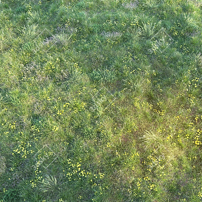 Blooming Meadow: Spring Grass with Dandelions 3D model image 2