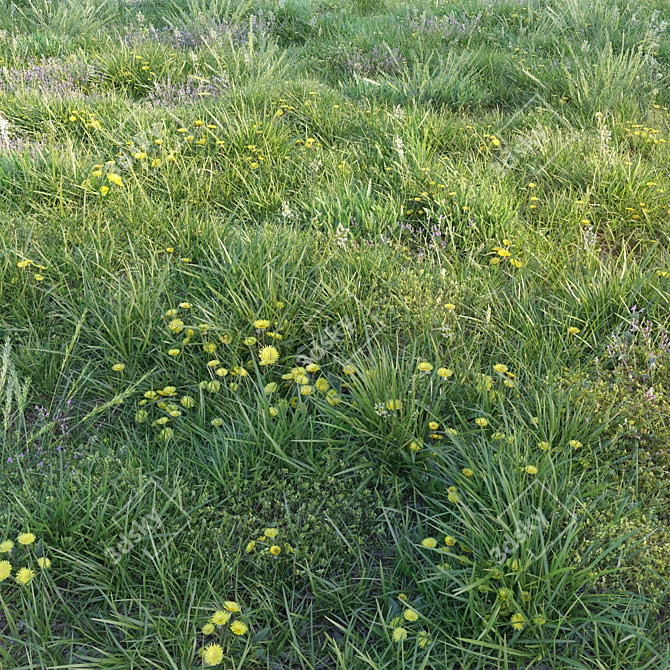 Blooming Meadow: Spring Grass with Dandelions 3D model image 3