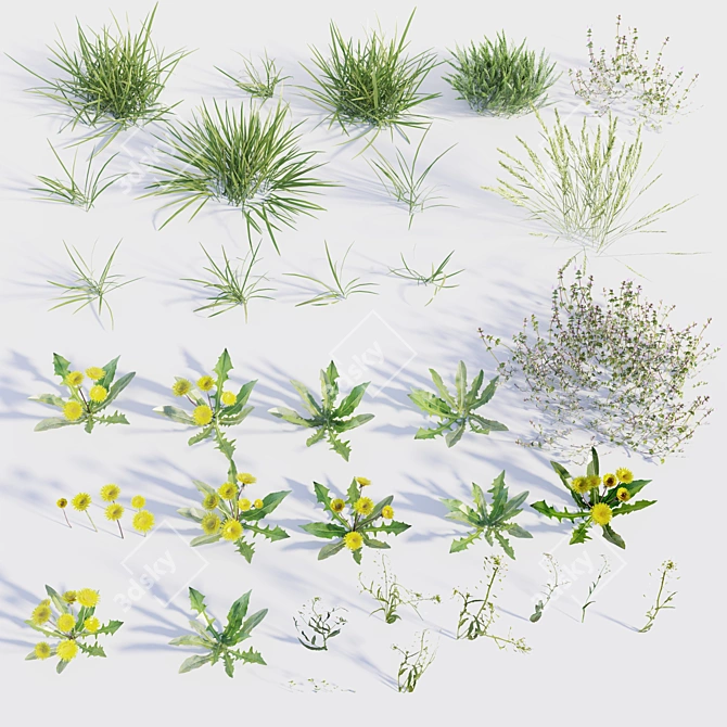 Blooming Meadow: Spring Grass with Dandelions 3D model image 4