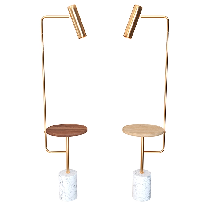 Elegant Talsi Plate Floor Lamp 3D model image 1