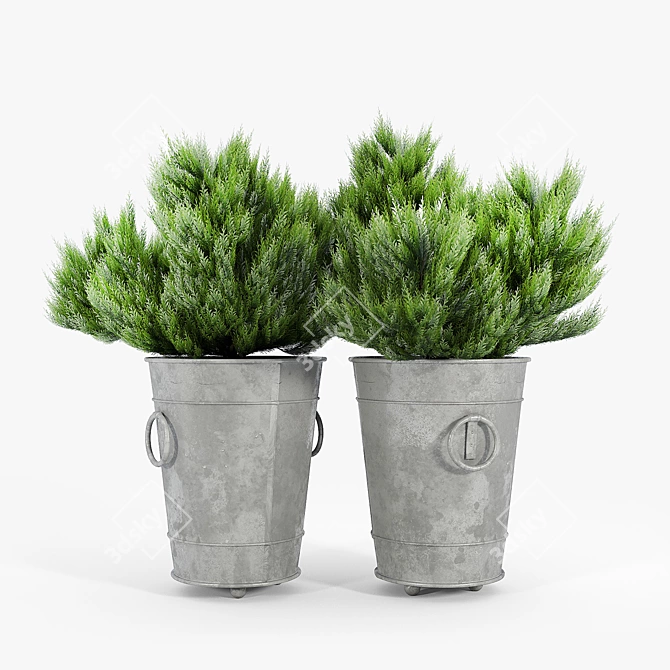 Modern Ring Planter Set 3D model image 4