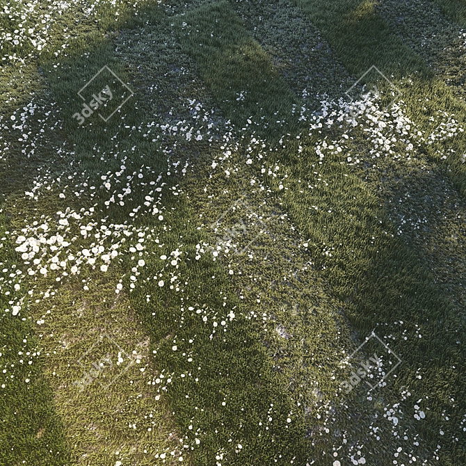 Corona Grass Set: Realistic 3D Vegetation 3D model image 3