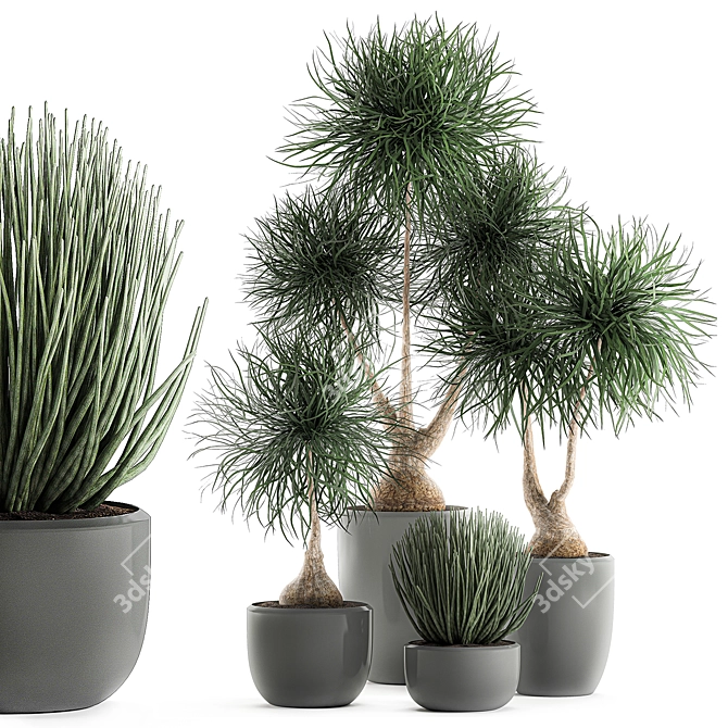 Exotic Indoor Plant Collection 3D model image 1