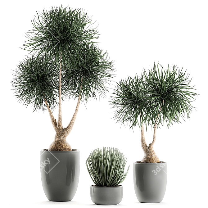 Exotic Indoor Plant Collection 3D model image 4