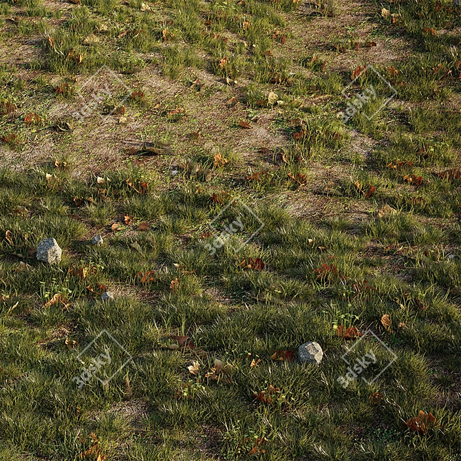 Lush Lawn Paradise: Realistic House Grass 3D model image 2