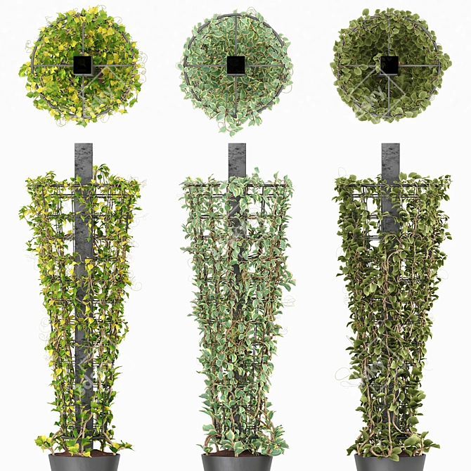 Metal Column with Creeping Plant 3D model image 2