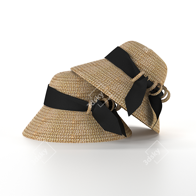 Chic Straw Hat for Stylish Summer Fashion 3D model image 2