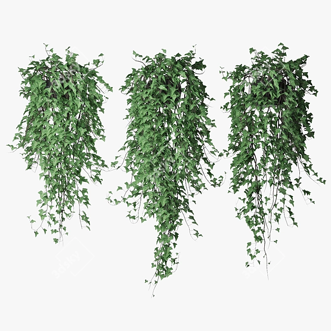 Lush Ivy Trio in Pot 3D model image 1