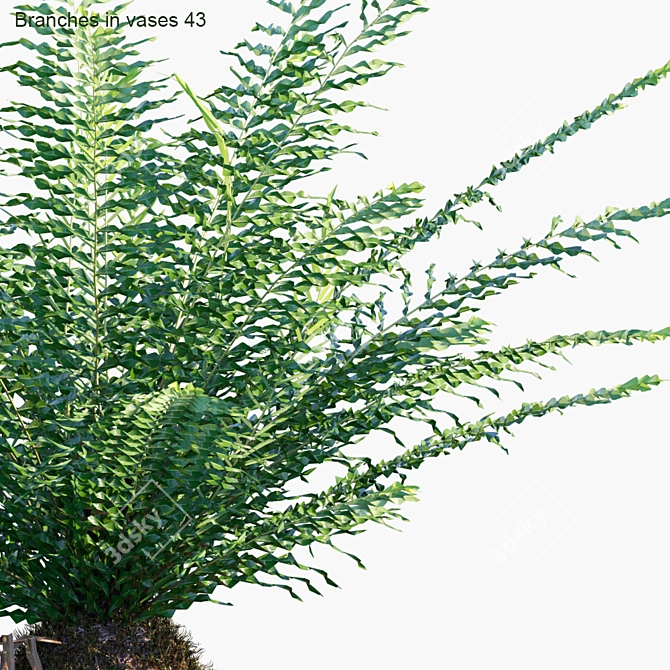 Zen Greenery: Branches in Vases 3D model image 2