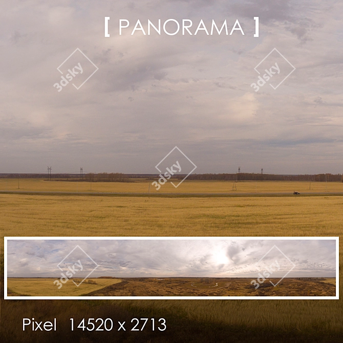 Field 11 Panorama: Perfect Background in Any Lighting 3D model image 1