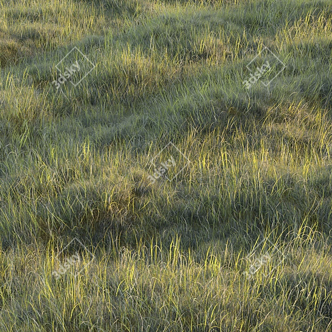 Lush Forest Grass Collection 3D model image 1