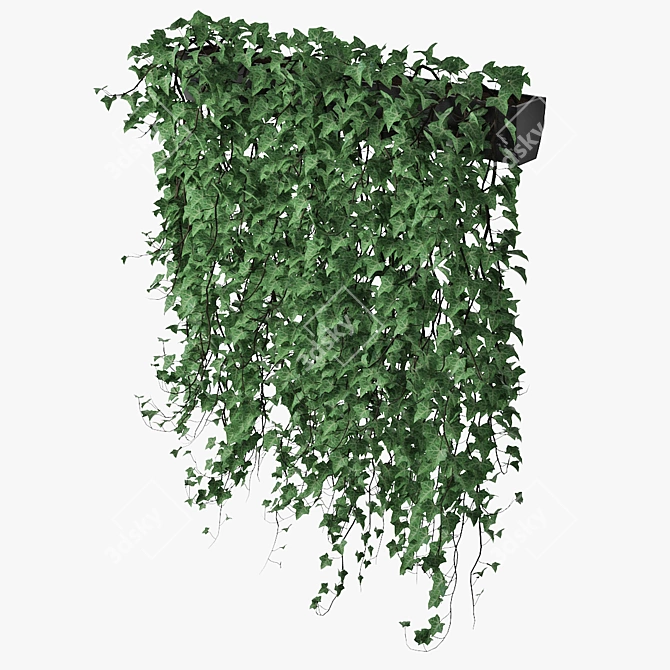 Lush Ivy in Pot 14 3D model image 2