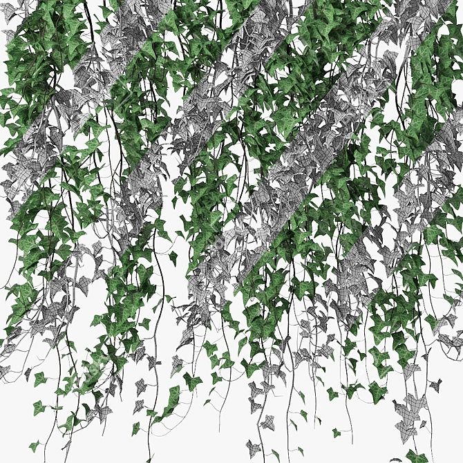 Lush Ivy in Pot 14 3D model image 4