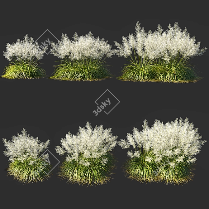 Ethereal White Muhly Grass 3D model image 1