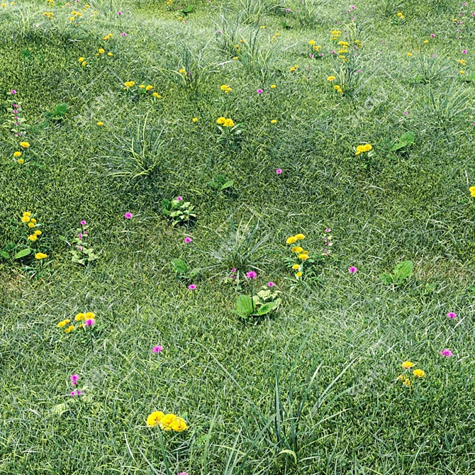 Floral Field: Grass with Flowers 3D model image 1