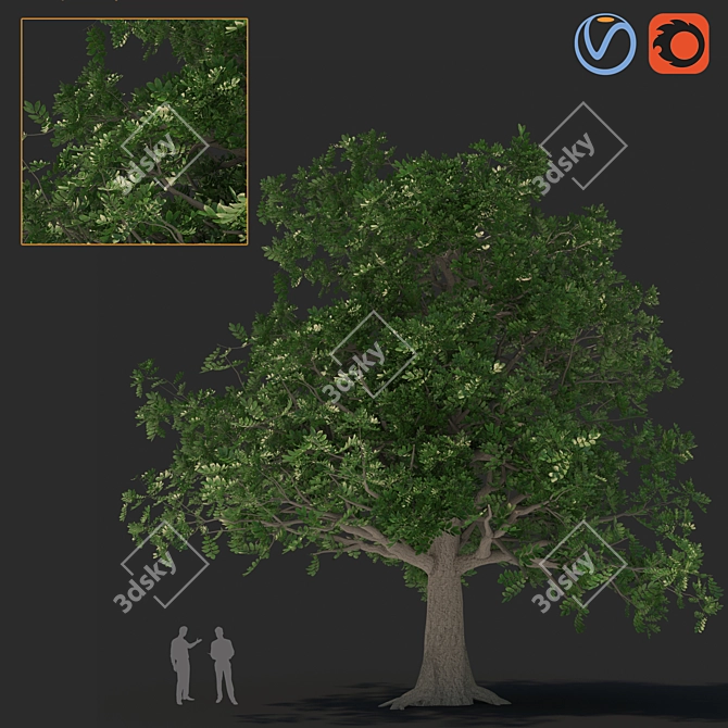 Versatile 3D Tree Model 3D model image 1