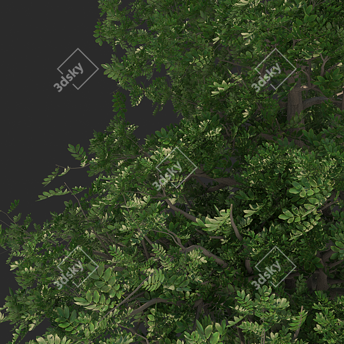 Versatile 3D Tree Model 3D model image 2