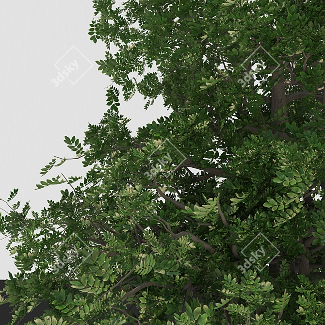 Versatile 3D Tree Model 3D model image 7