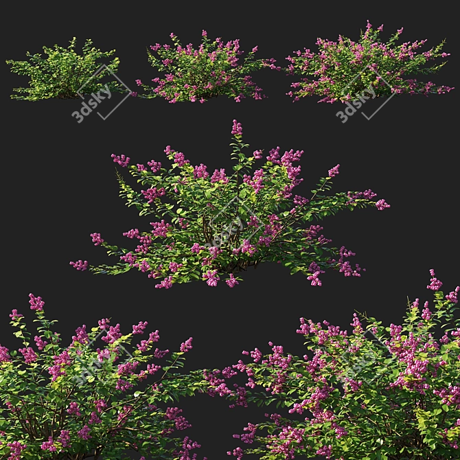 Symphoricarpos Berry Bush: Vibrant and Versatile Foliage 3D model image 1