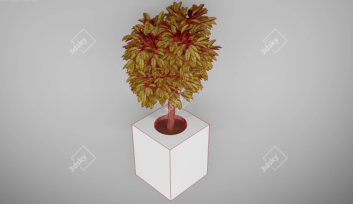 Modern Indoor Tree: Height 700mm 3D model image 4