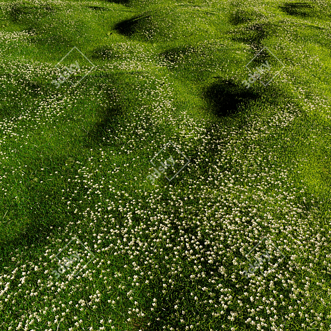 Bryozo Lawn: Corona Scatter-Enabled 20x20m Meadow 3D model image 2