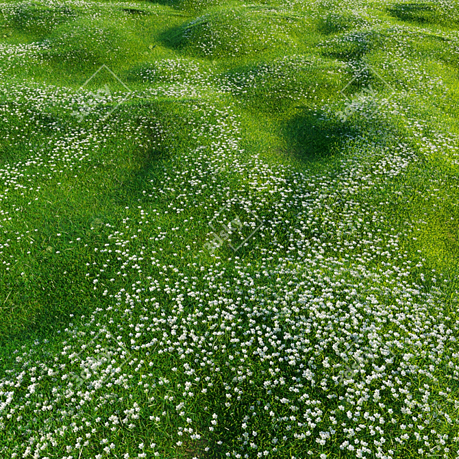 Bryozo Lawn: Corona Scatter-Enabled 20x20m Meadow 3D model image 5