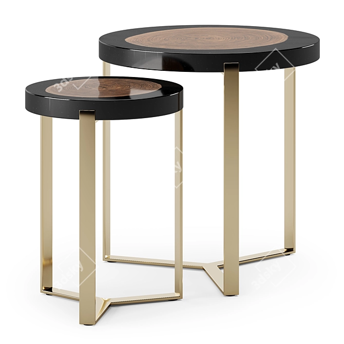 Caracole Naturalist End Table 3D model image 1