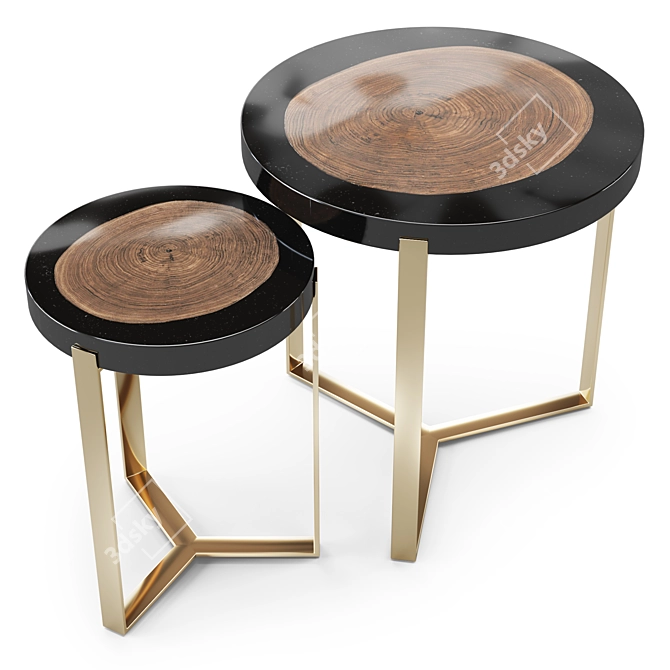 Caracole Naturalist End Table 3D model image 2