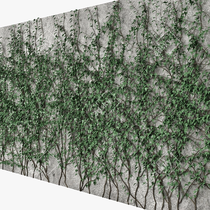 Versatile Ivy Wall Decoration 3D model image 2