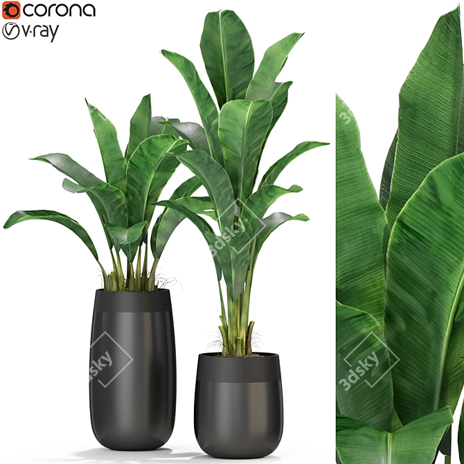 Variety of 309 Plant Collection 3D model image 1